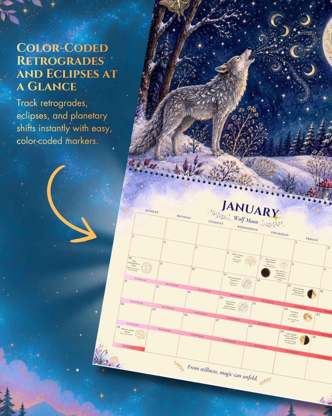 Enchanted Wildlife 2027 Astrology Calendar | Celestial Wall Calendar