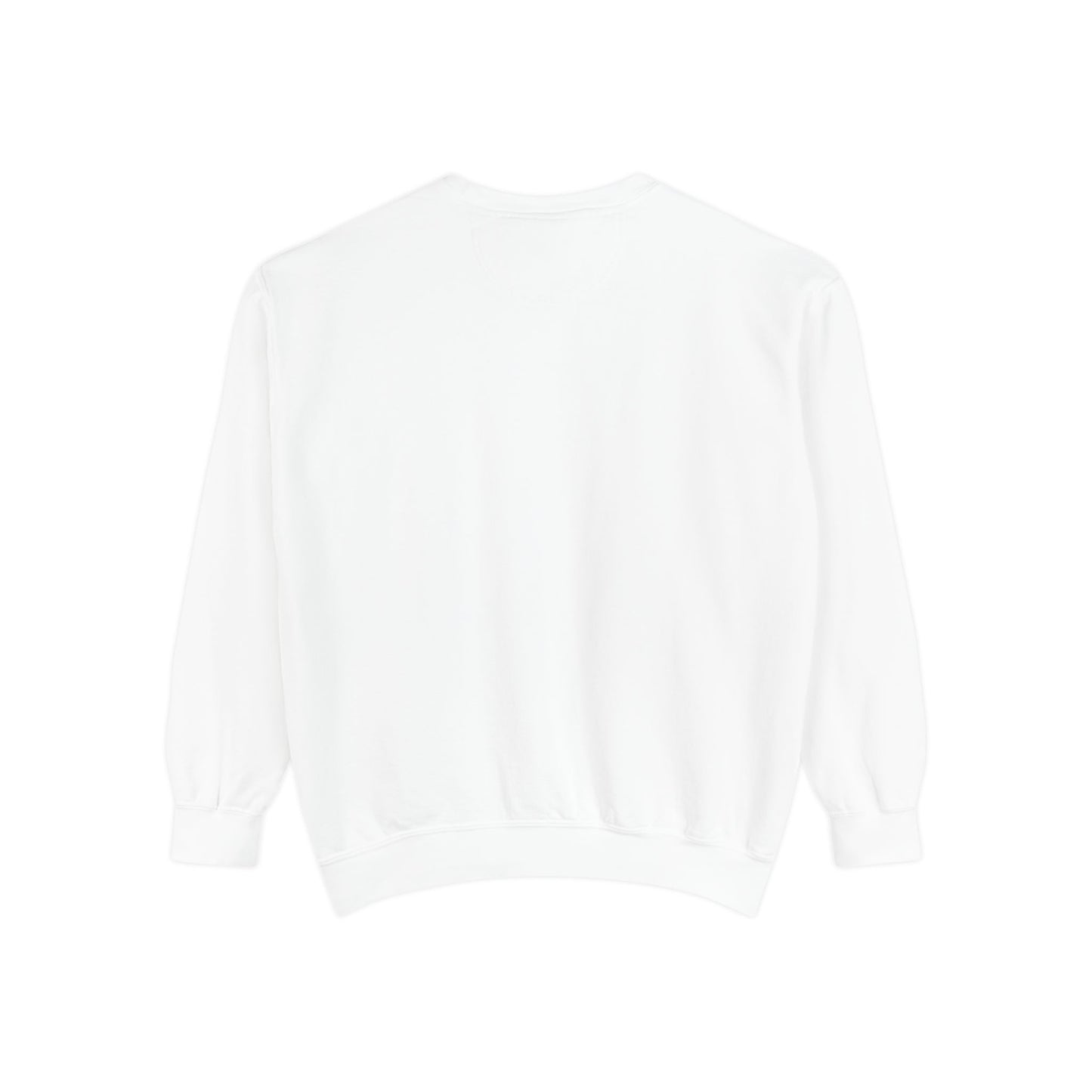Big Witch Energy Sweatshirt – Moon Broom Pullover