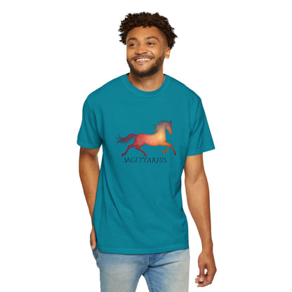 Sagittarius – colorful zodiac horse shirt