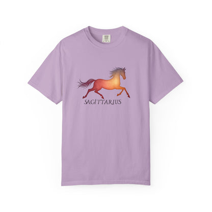 Sagittarius – colorful zodiac horse shirt