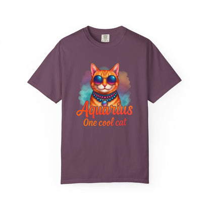 Aquarius One Cool Cat – Funky Retro Zodiac Tee - Enchanted Sky
