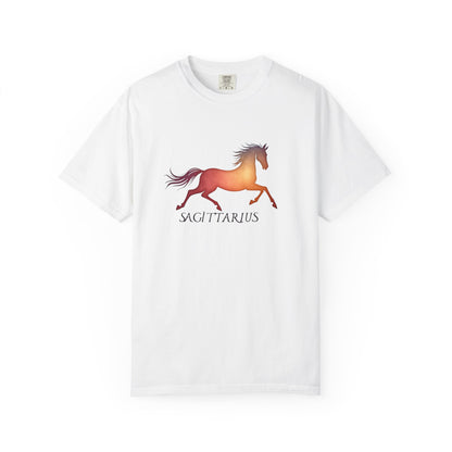 Sagittarius – colorful zodiac horse shirt