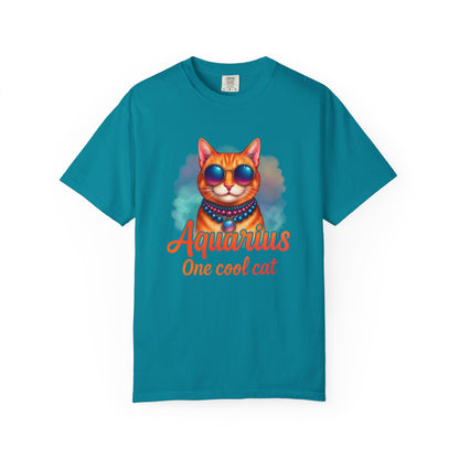 Aquarius One Cool Cat – Funky Retro Zodiac Tee - Enchanted Sky