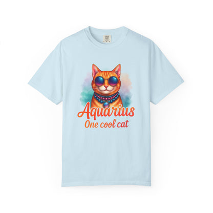 Aquarius One Cool Cat – Funky Retro Zodiac Tee - Enchanted Sky