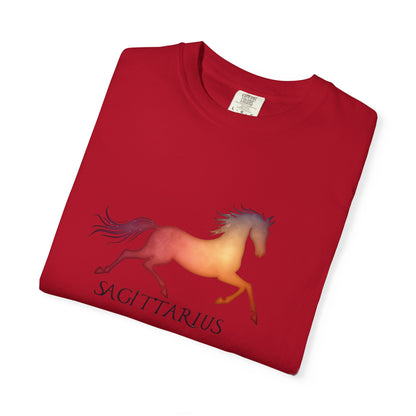 Sagittarius – colorful zodiac horse shirt
