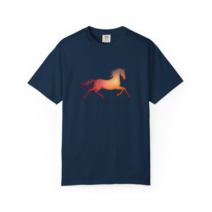 Sagittarius – colorful zodiac horse shirt