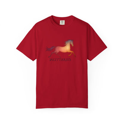 Sagittarius – colorful zodiac horse shirt