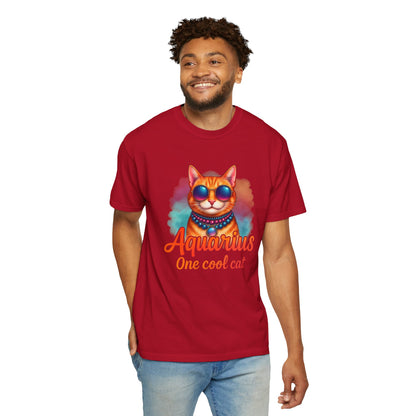 Aquarius One Cool Cat – Funky Retro Zodiac Tee - Enchanted Sky