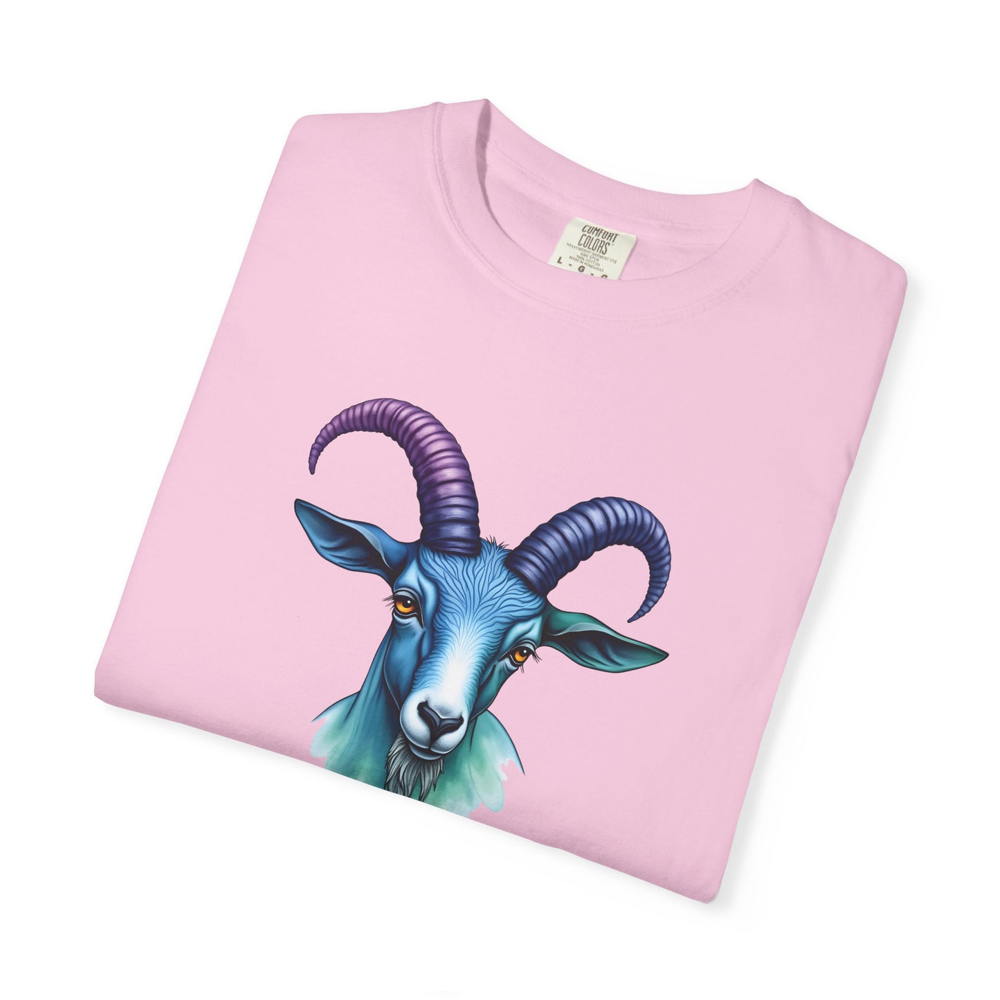 In My Capricorn Era – Colorful Tee Zodiac Shirt