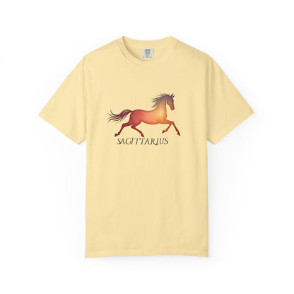 Sagittarius – colorful zodiac horse shirt