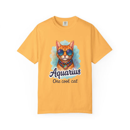 Aquarius One Cool Cat – Groovy Cosmic Kitty T-shirt