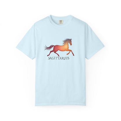 Sagittarius – colorful zodiac horse shirt