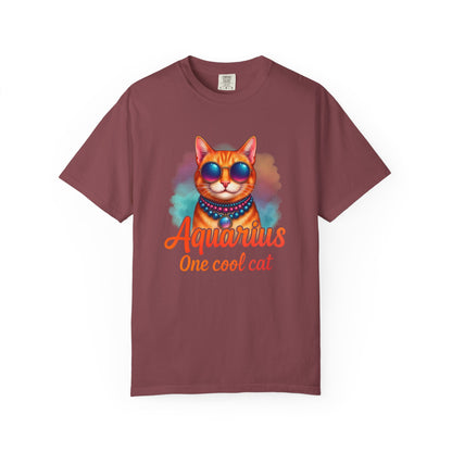 Aquarius One Cool Cat – Funky Retro Zodiac Tee - Enchanted Sky