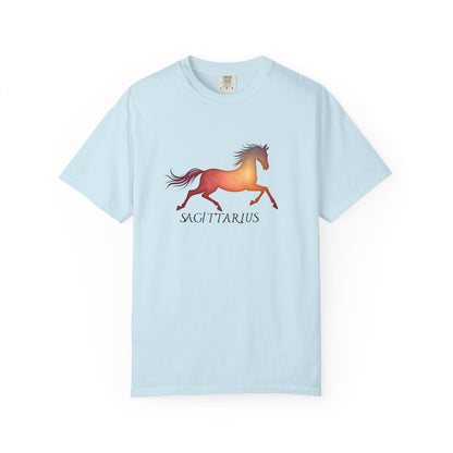 Sagittarius – colorful zodiac horse shirt