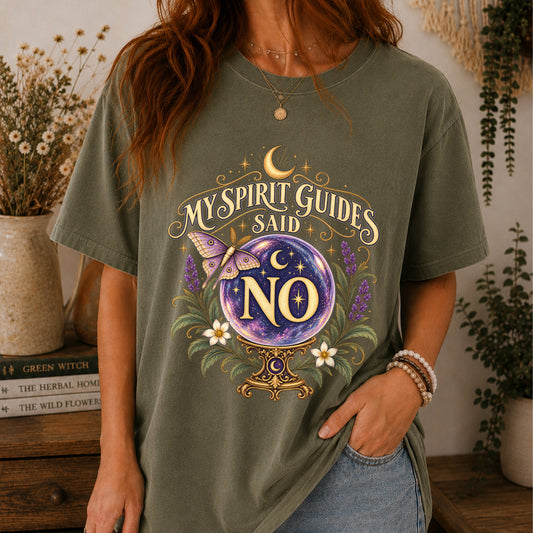 My Spirit Guides Said No Funny Psychic Spirit Guide T-Shirt