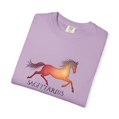 Sagittarius – colorful zodiac horse shirt