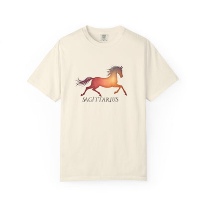 Sagittarius – colorful zodiac horse shirt