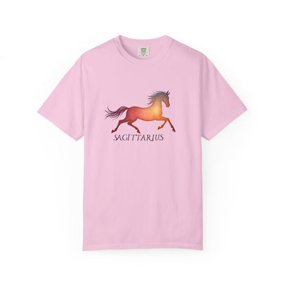 Sagittarius – colorful zodiac horse shirt
