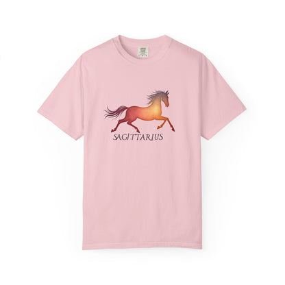 Sagittarius – colorful zodiac horse shirt