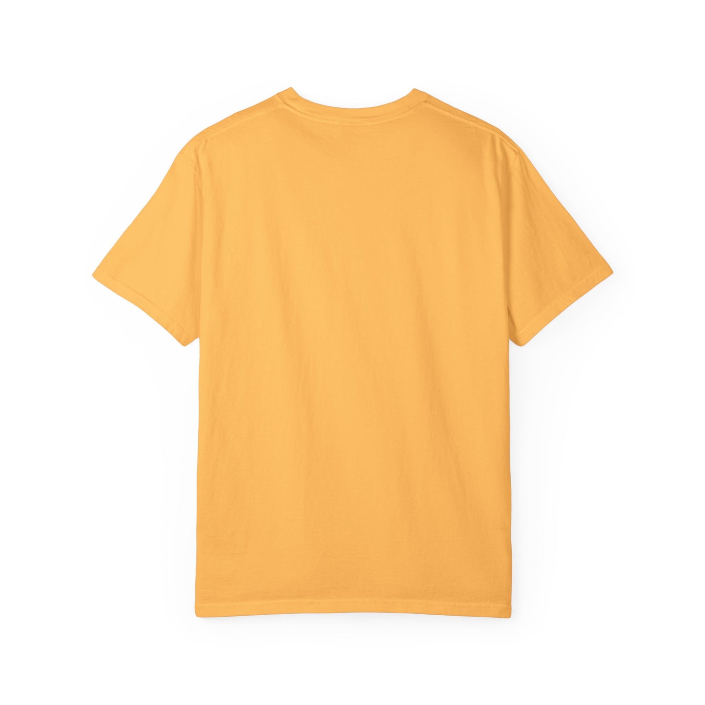 Aquarius – Colorful Cool Cat Zodiac Shirt