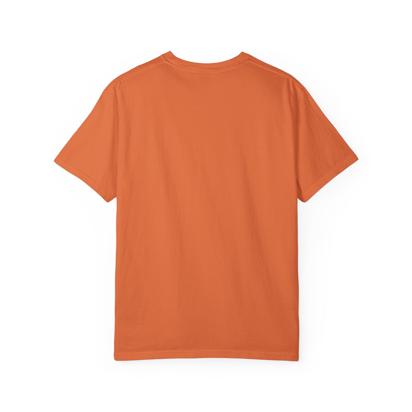 Aquarius – Colorful Cool Cat Zodiac Shirt