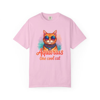 Aquarius One Cool Cat – Funky Retro Zodiac Tee - Enchanted Sky