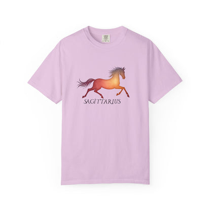 Sagittarius – colorful zodiac horse shirt