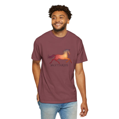 Sagittarius – colorful zodiac horse shirt