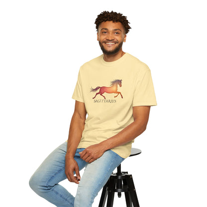 Sagittarius – colorful zodiac horse shirt